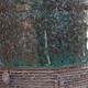 Ceramiczna miska bonsai 9,5 x 9,5 x 9 cm, kolor zielony - 2/3