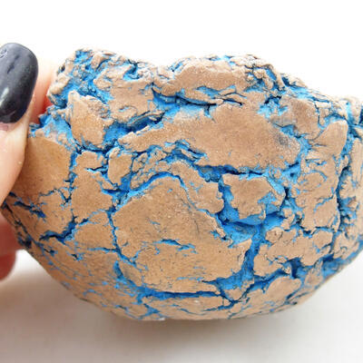 Ceramiczna muszla 9,5 x 9 x 5 cm, kolor naturalny niebieski - 2