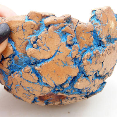 Ceramiczna muszla 9 x 8,5 x 7 cm, kolor naturalny niebieski - 2