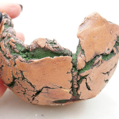 Ceramiczna muszla 8,5 x 7,5 x 6,5 cm, kolor naturalna zieleń - 2