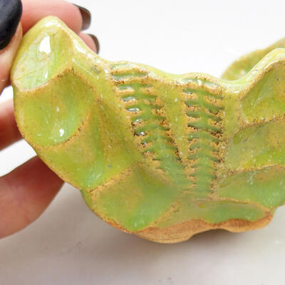 Ceramiczna muszla 8,5 x 8,5 x 6 cm, kolor zielony - 2