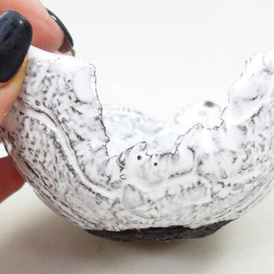 Ceramiczna skorupa 8,5 x 8 x 5,5 cm, kolor biały - 2