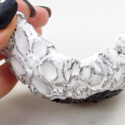 Ceramiczna muszla 8 x 6 x 4 cm, kolor biały - 2