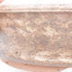 Ceramiczna miska bonsai 20 x 20 x 5 cm, kolor brązowy - 2/3
