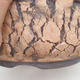 Ceramiczna miska bonsai 18 x 18 x 7,5 cm, kolor popękany - 2/4