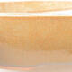 Ceramiczna miska bonsai 23 x 17,5 x 5 cm, kolor brązowy - 2/3
