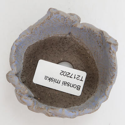 Ceramiczna muszla 7 x 7 x 4,5 cm, kolor niebieski - 2