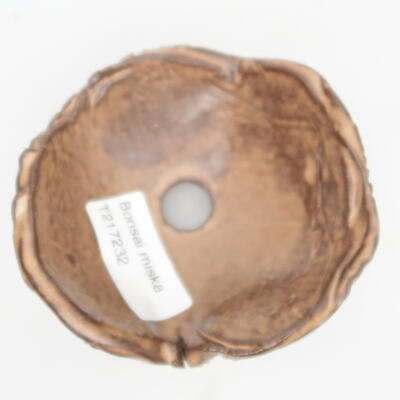 Ceramiczna muszla 9 x 9 x 4 cm, kolor beżowy - 2