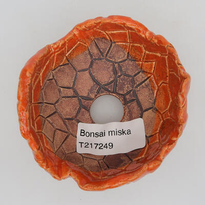 Ceramiczna muszla 8 x 8 x 5 cm, kolor pomarańczowy - 2