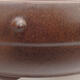 Ceramiczna miska bonsai 19,5 x 19,5 x 6 cm, kolor brązowy - 2/3