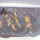 Ceramiczna miska bonsai 20 x 20 x 6,5 cm, kolor spękany - 2/4
