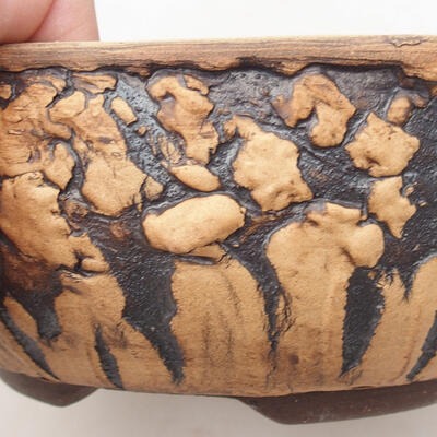 Ceramiczna miska do bonsai 17,5 x 17,5 x 7 cm, czarna spękana - 2