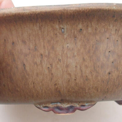 Ceramiczna miska bonsai 18 x 16 x 6,5 cm, kolor brązowy - 2