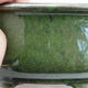 Ceramiczna miska bonsai 11 x 8,5 x 5,5 cm, kolor zielono-metalowy - 2/3