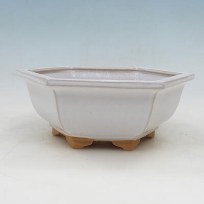 Misa ceramiczna + spodek H53 - miska 20 x 18 x 7,5 cm spodek 18 x 15,5 x 1,5 cm, biały - 2