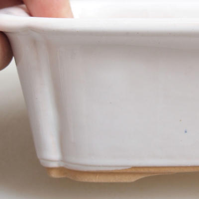 Miska Bonsai H 50-16,5 x 12 x 6 cm, biały - 2