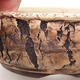 Ceramiczna miska bonsai 15 x 15 x 5,5 cm, kolor popękany - 2/4
