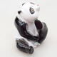 Figurka ceramiczna - Panda D24-2 - 2/3