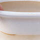 Ceramiczna miska bonsai H 54 - 35 x 28 x 9,5 cm, biały - 2/3