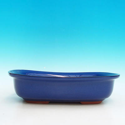 Ceramiczna miska bonsai H 10 - 37 x 27 x 10 cm, niebieski - 37 x 27 x 10 cm - 2