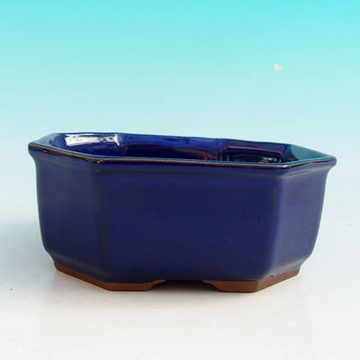 Ceramiczna miska bonsai H 13 - 11,5 x 11,5 x 4,5 cm, niebieski - 11,5 x 11,5 x 4,5 cm - 2