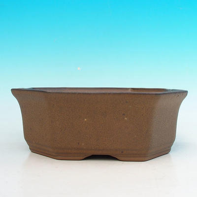 Ceramiczna miska bonsai H 14 - 17,5 x 17,5 x 6,5 cm, brązowy - 2