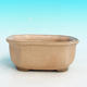 Ceramiczna miska bonsai H 31 - 14,5 x 12,5 x 6 cm, beżowy - 14,5 x 12,5 x 6 cm - 2/3