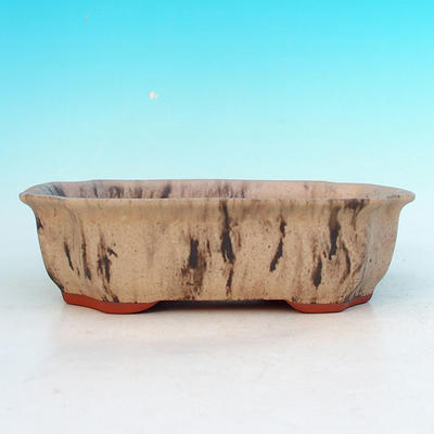 Ceramiczna miska bonsai H 03 - 16,5 x 11,5 x 5 cm, beżowy - 16,5 x 11,5 x 5 cm - 2