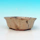 Ceramiczna miska bonsai H 06 - 14,5 x 14,5 x 4,5 cm, beżowy - 14,5 x 14,5 x 4,5 cm - 2/3