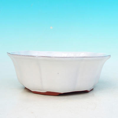 Ceramiczna miska bonsai H 06 - 14,5 x 14,5 x 4,5 cm, biały - 14,5 x 14,5 x 4,5 cm - 2