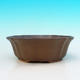 Ceramiczna miska bonsai H 06 - 14,5 x 14,5 x 4,5 cm, brązowy - 14,5 x 14,5 x 4,5 cm - 2/3