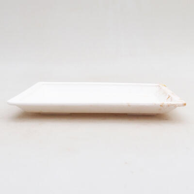 Spodek do Bonsai plastik PP-1 biały 15 x 11 x 1,8 cm - 2