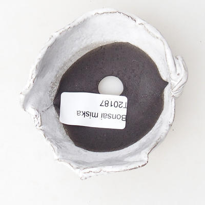 Ceramiczna skorupa 7,5 x 7 x 5,5 cm, kolor biały - 3