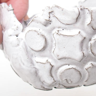 Ceramiczna skorupa 8 x 7 x 5,5 cm, kolor biały - 3