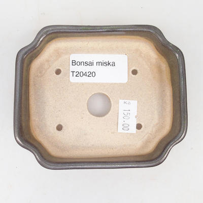 Ceramiczna miska bonsai 10 x 8,5 x 2,5 cm, kolor szaro-zielony - 3