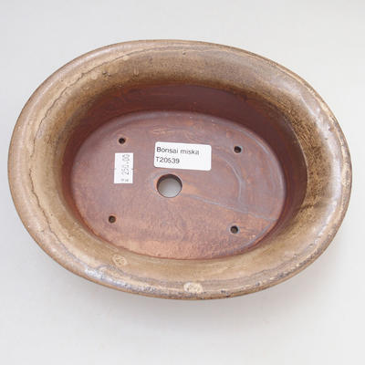Ceramiczna miska bonsai 19 x 15 x 6 cm, kolor brązowy - 3