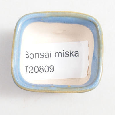 Mini miska bonsai 4 x 3,5 x 2,5 cm, kolor niebieski - 3