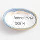 Mini miska bonsai 4 x 2,5 x 1,5 cm, kolor niebieski - 3/3