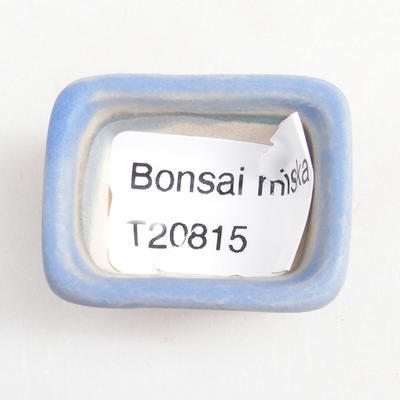 Mini miska bonsai 3,5 x 2,5 x 2 cm, kolor niebieski - 3