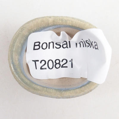 Miska mini bonsai 3 x 2,5 x 2 cm, kolor niebieski - 3