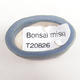 Mini miska bonsai 4 x 2,5 x 2 cm, kolor niebieski - 3/3