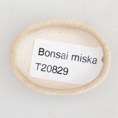 Mini miska bonsai 4,5 x 3,5 x 1,5 cm, kolor beżowy - 3