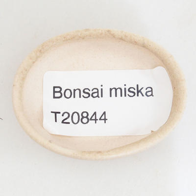 Mini miska bonsai 4,5 x 3,5 x 1 cm, kolor beżowy - 3