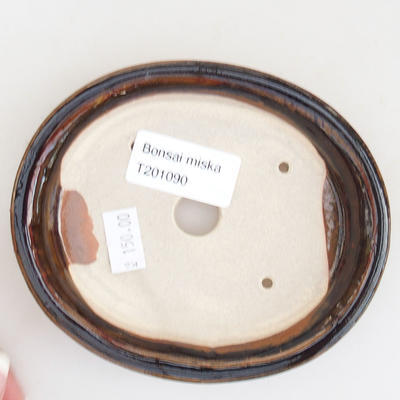 Ceramiczna miska bonsai 12 x 10 x 2,5 cm, kolor brązowy - 3
