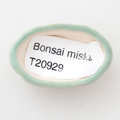 Mini miska bonsai 4 x 2,5 x 2 cm, kolor zielony - 3