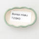 Mini miska bonsai 5,5 x 3,5 x 1,5 cm, kolor zielony - 3/3