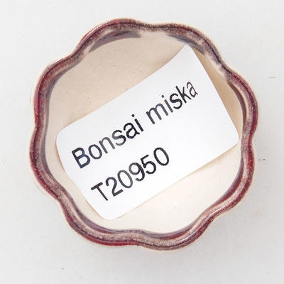 Mini miska bonsai 3,5 x 3,5 x 2 cm, kolor czerwony - 3