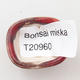 Mini miska bonsai 3 x 2,5 x 1,5 cm, kolor czerwony - 3/3