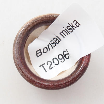 Miska mini bonsai 2,5 x 2,5 x 1,5 cm, kolor czerwony - 3