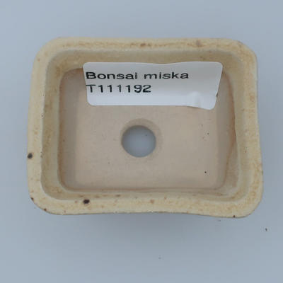 Mini bonsai doniczka - 3